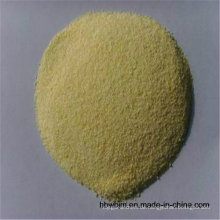 Natur China Dehydrierte Gralic Powder zum Verkauf